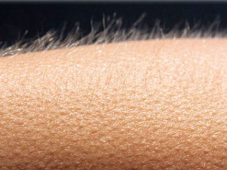 Por que algumas pessoas sentem arrepios com música, e outras não