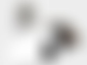 Rara primeira edição do 'Álbum Branco' dos Beatles é doada para caridade