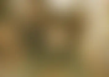 Warner Bros. anuncia novo filme live-action de O Senhor dos Anéis, com produção de Peter Jackson