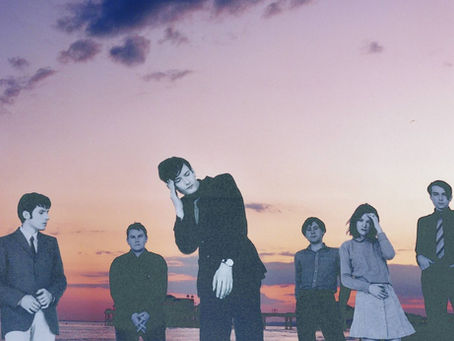 Pulp