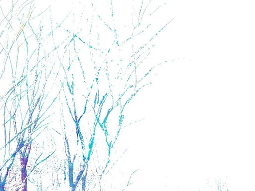 Em 'After the Magic' o sul-coreano Parannoul se dissolve em canções surrealistas e maximalistas