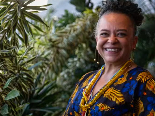 Ana Maria Gonçalves, autora de 'Um defeito de cor'