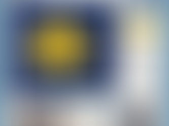 Black Friday Deal on Blackout Roller Shade