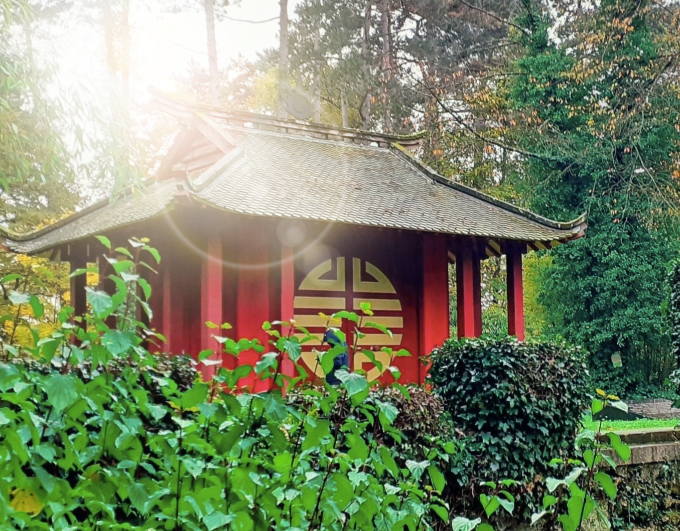 Marche et méditation au bois de Vincennes - Jardin d’agronomie tropicale