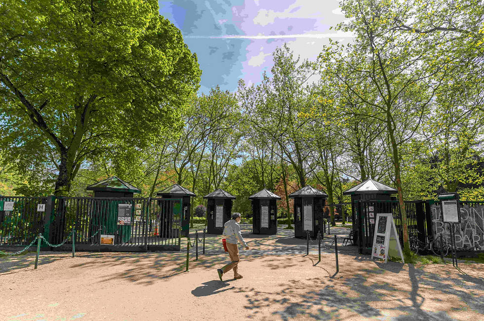 Marche et méditation au bois de Vincennes - Parc Floral de Paris