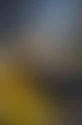 Girl in dark formal gown sitting in a yellow chair outside in front of a shop.