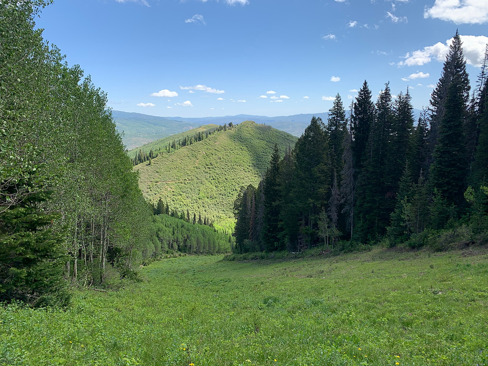 Mid-Mountain trail in Park City, Utah