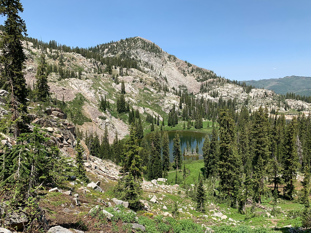 Lake Martha