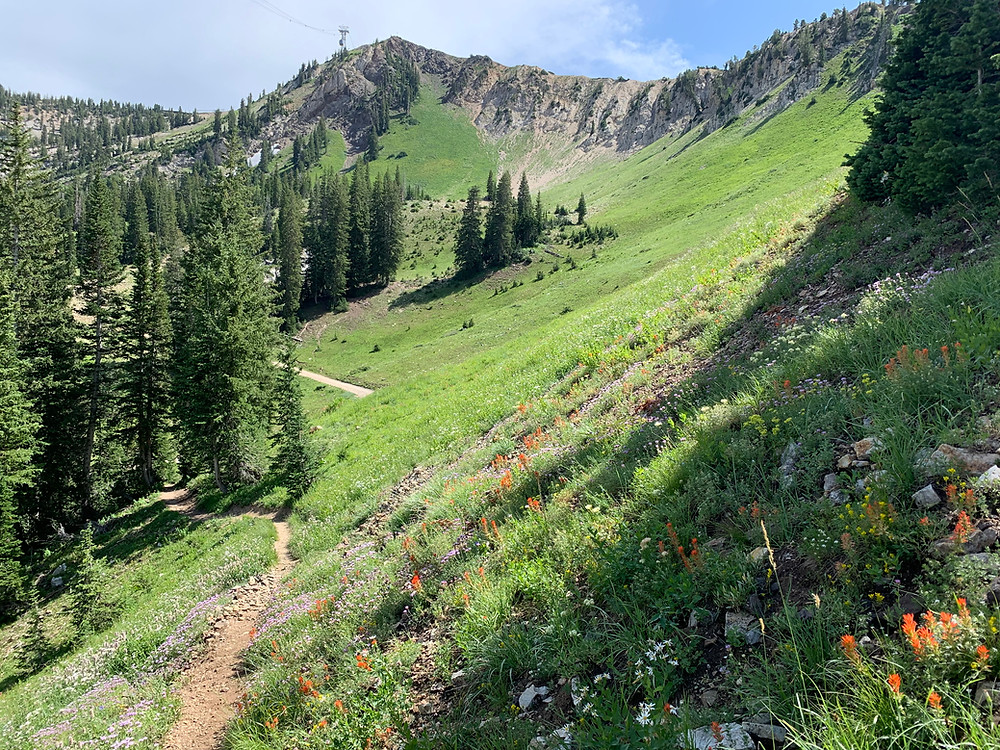 Peruvian Gulch hike in Little Cottonwood Canyon, Utah