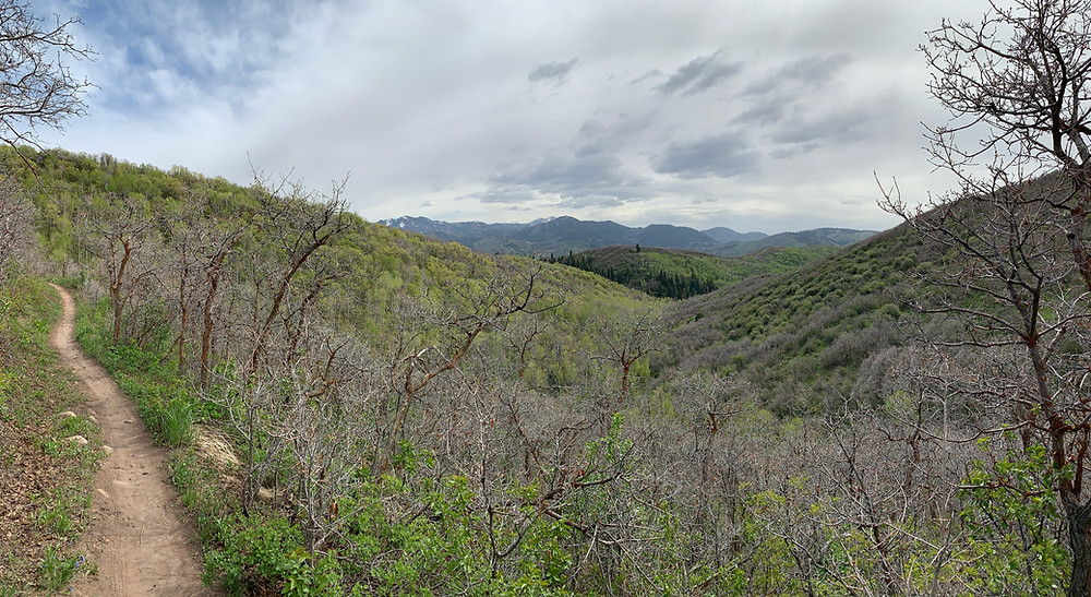 Jeremy + Preserve loop hike
