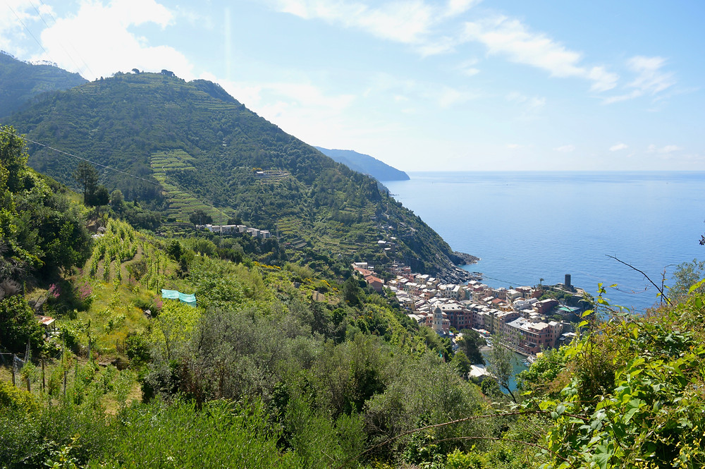 Blue Path in Cinque Terre, Italy