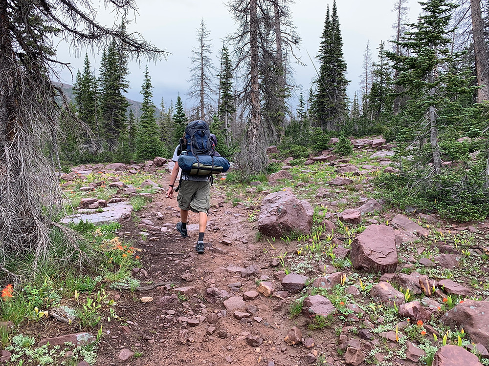 Grandaddy Lake hike Utah