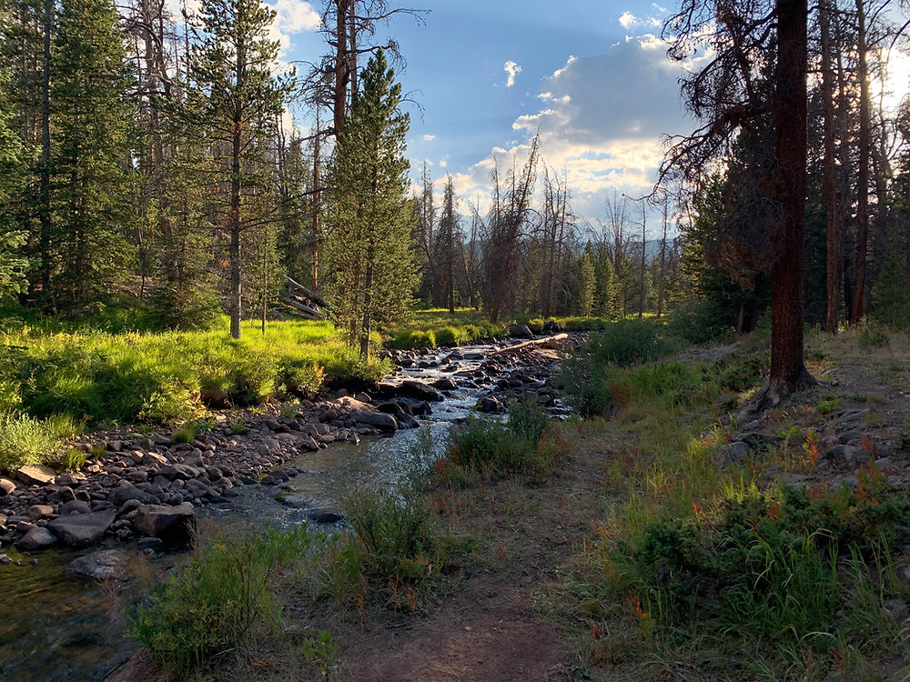 King's Peak Henry's Fork, Utah