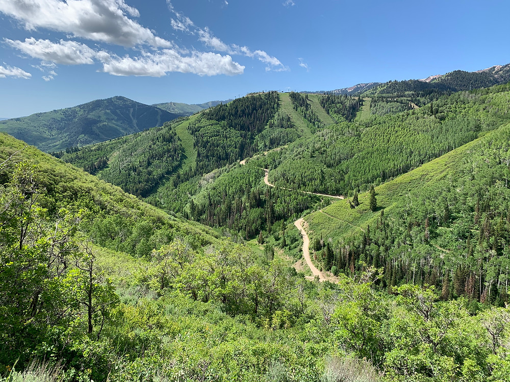 Rob's Trail