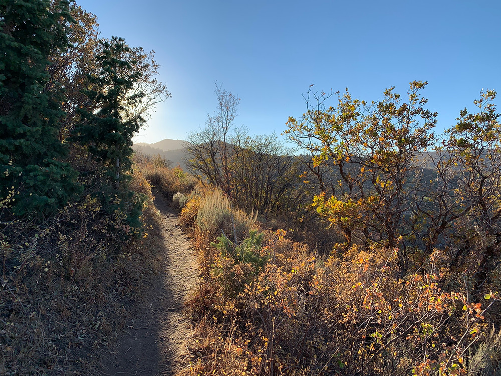 Alf Engen trail Park City