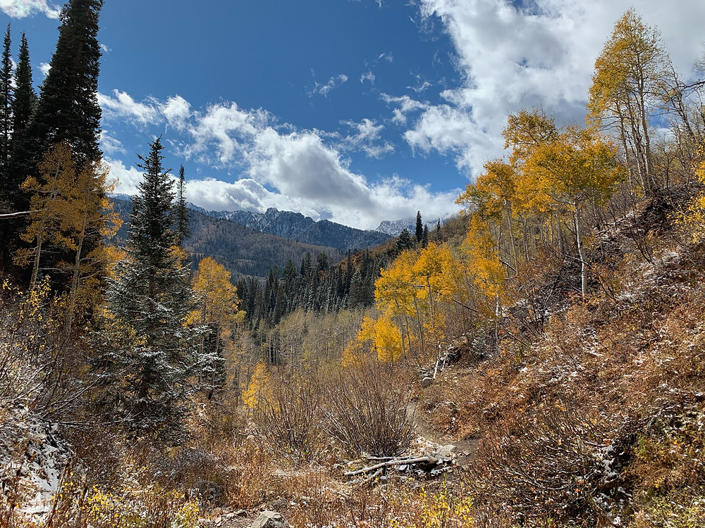 Beartrap Fork, Utah