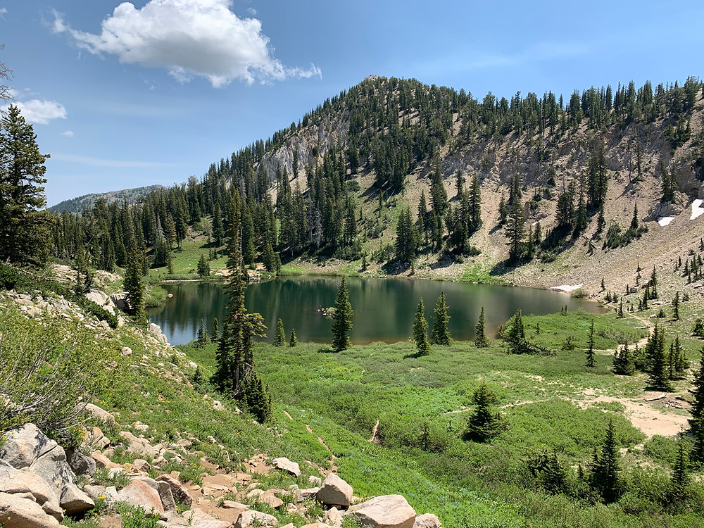Lake Catherine Brighton