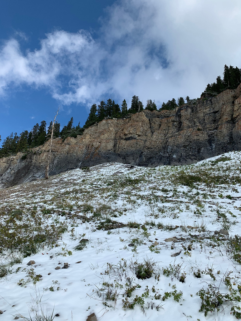 Mount Timpanogos mountain goats