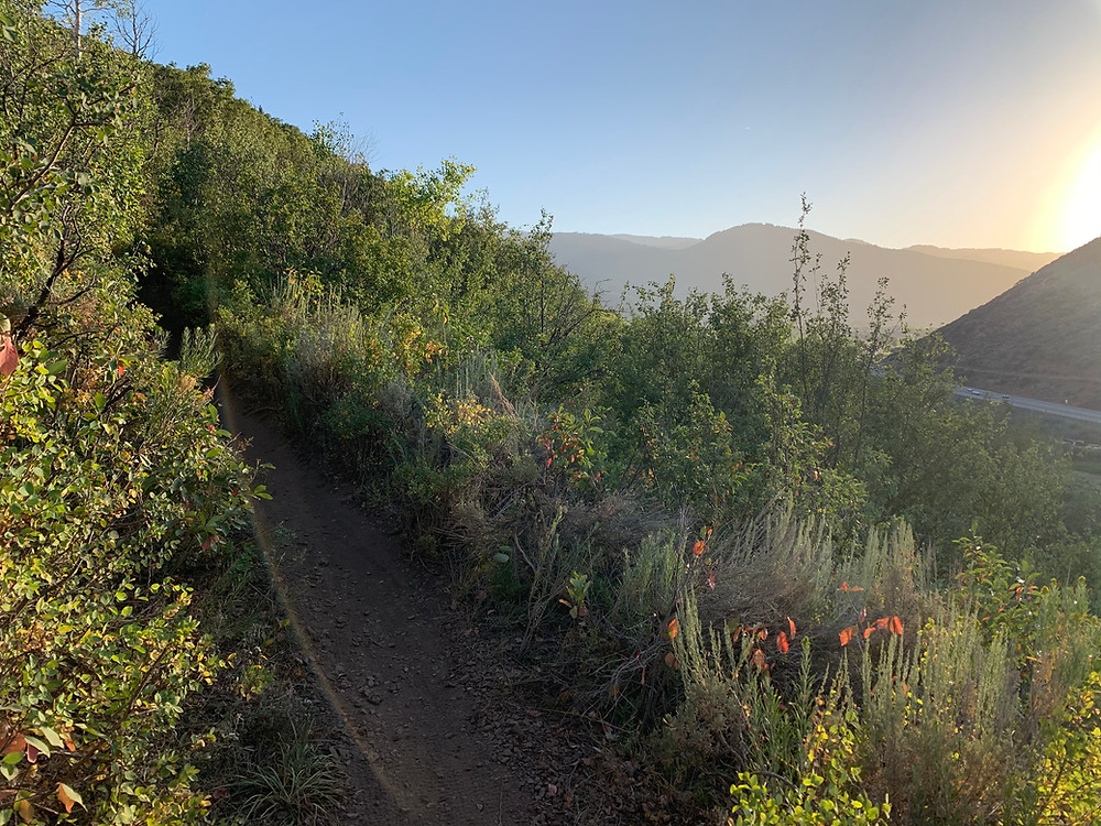 Lost Prospector trail in Park City, Utah