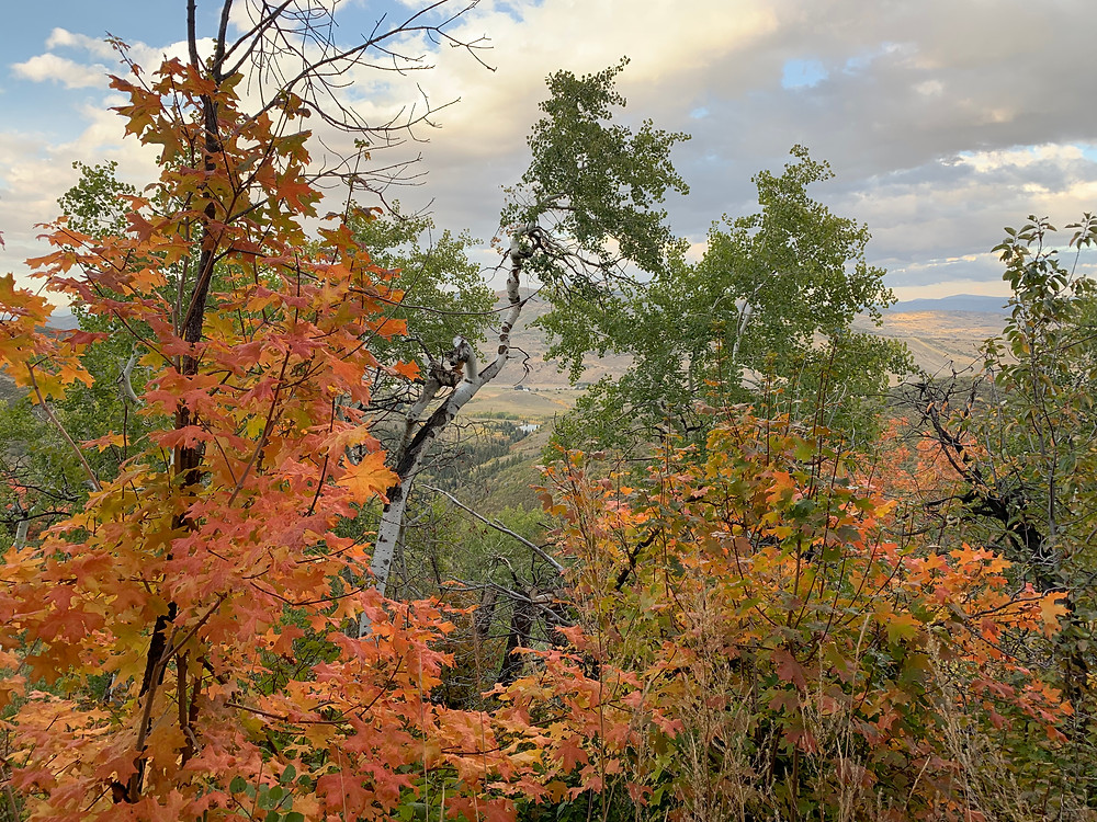 Fall in Park City, Utah