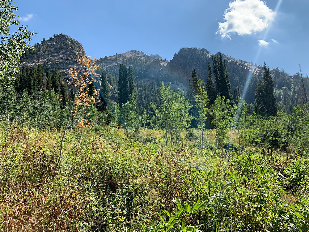 Neff's Canyon mountain view Utah