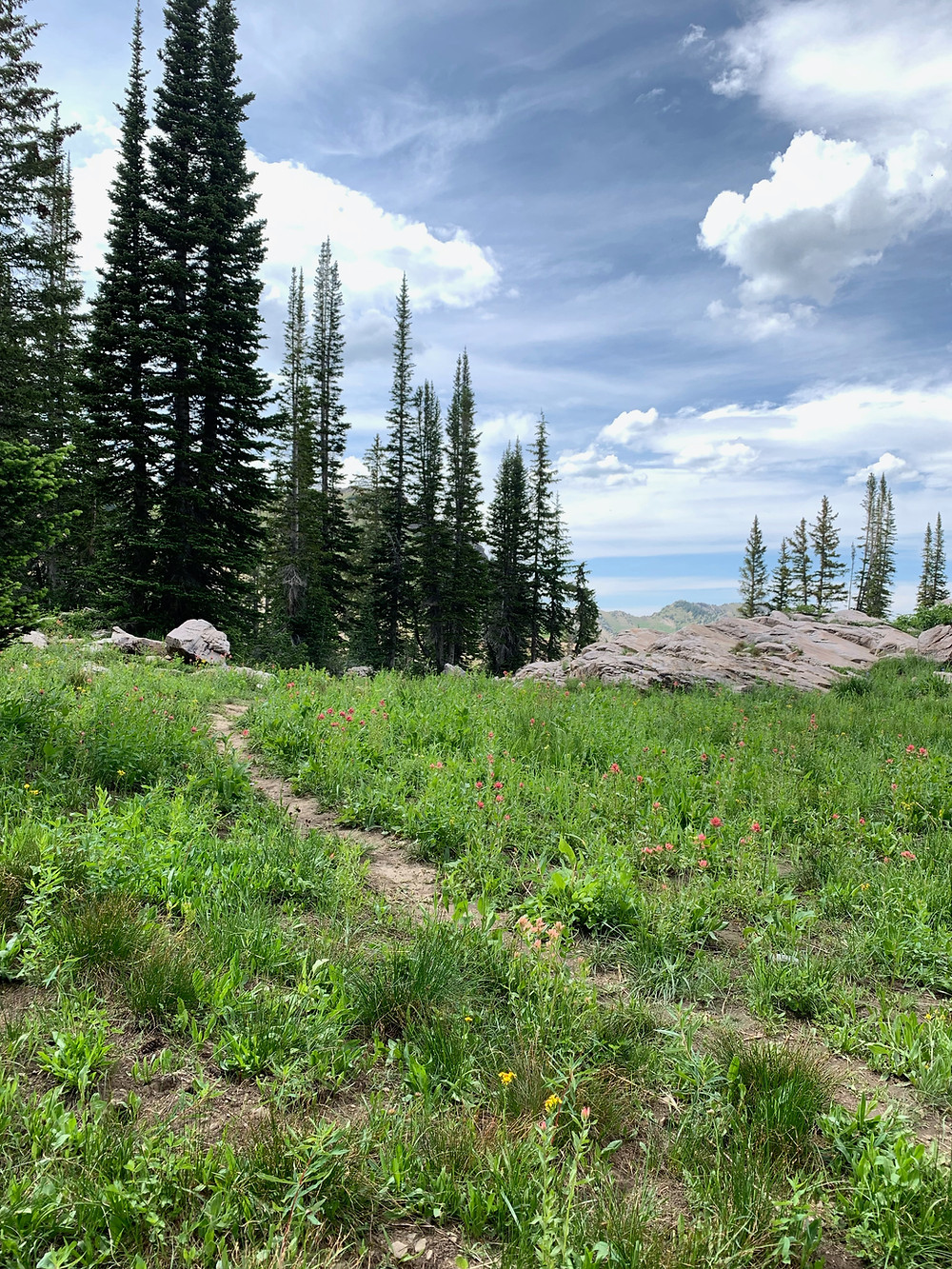 hike to Devil's Castle