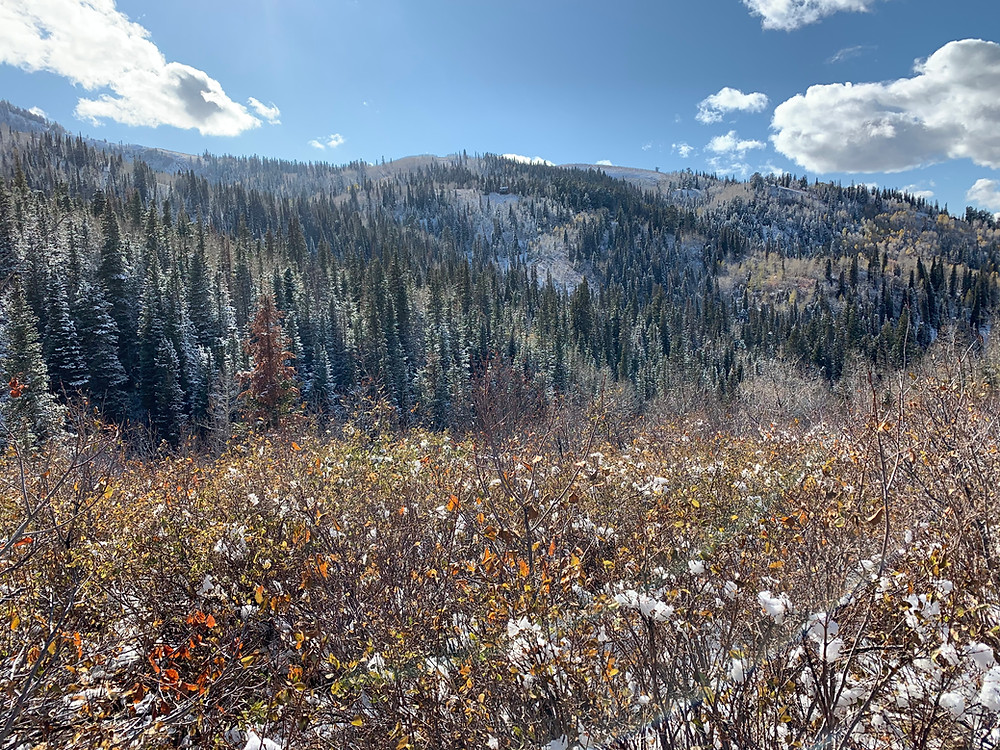 Toll Canyon Park City, Utah