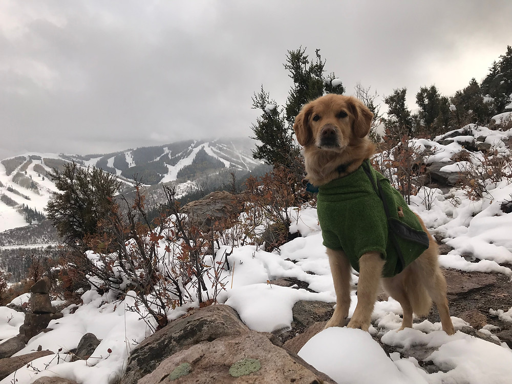 Iron Mountain hike in Park City, Utah