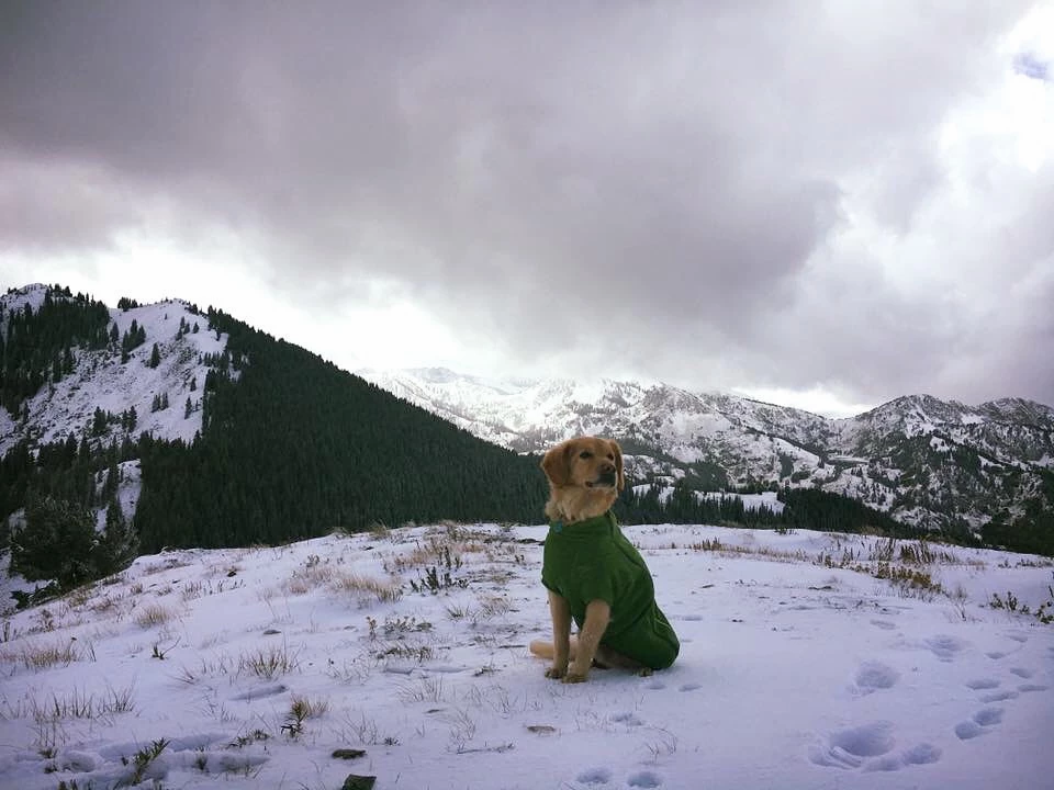 Tri-County Peak Guardsman Pass view