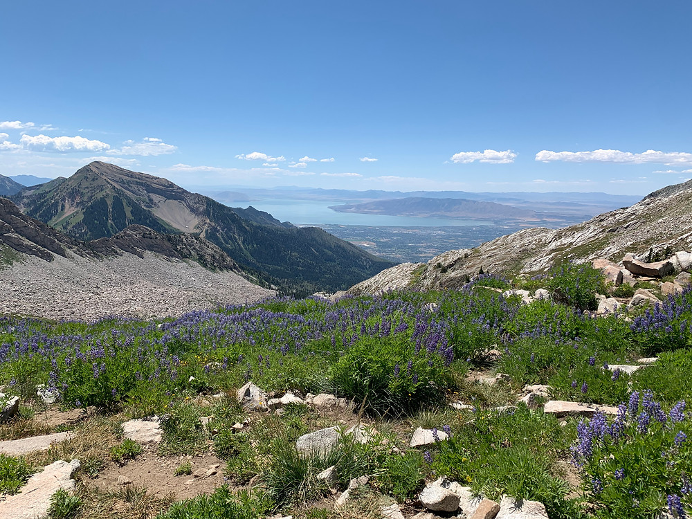 Pfeifferhorn hike
