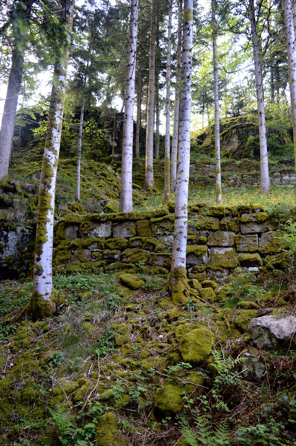 Burgbach Waterfall hike in the Black Forest, Germany