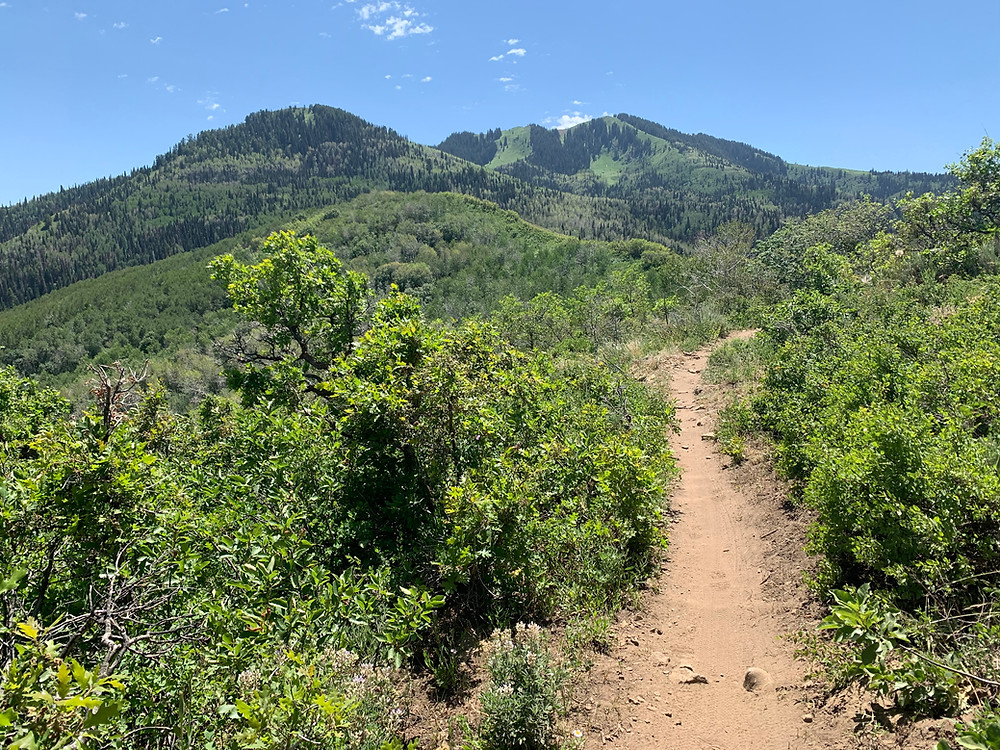 Mid-Mountain trail in Park City, Utah