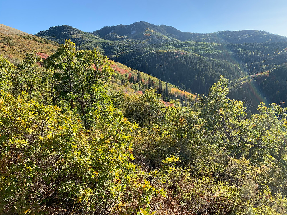 view of Toll Canyon from Hunter's Trail in Park City, Utah