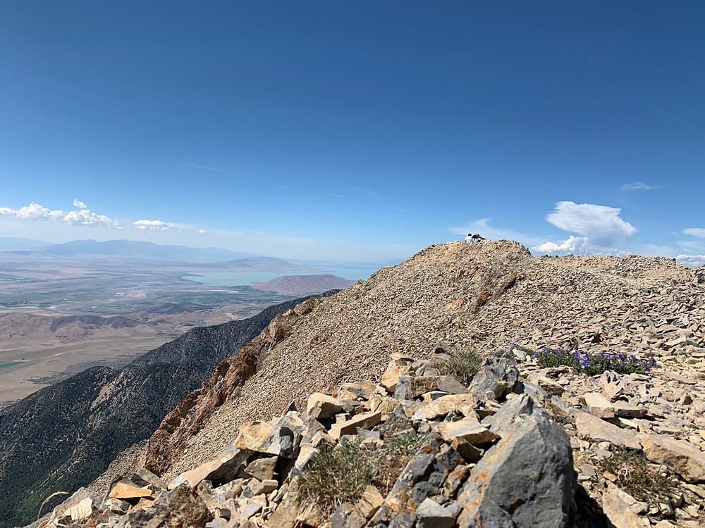 man and dog Mount Nebo hike