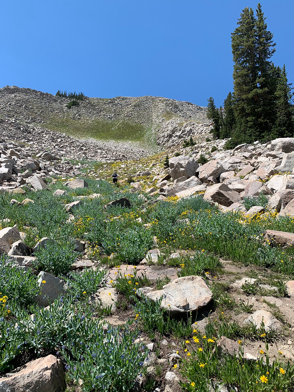 Hike to Pfeifferhorn