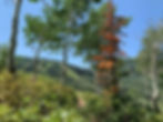 Mid Mountain trail Park City