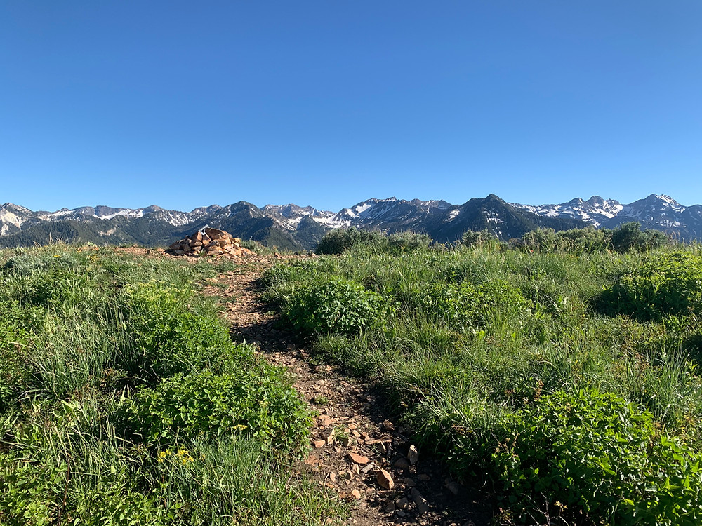 Reynold's Peak in Big Cottonwood Canyon, Utah
