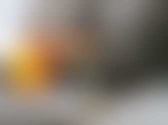 Incendie de résidence Grenville sur la Rouge