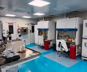 baculovirus protein production setup
