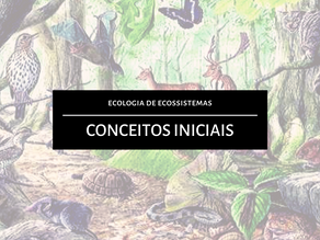 Ecologia de Ecossistemas: Conceitos Iniciais