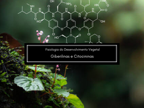 Fisiologia do Desenvolvimento Vegetal: Giberilinas e Citocininas