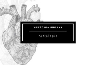 Anatomia Humana: Artrologia