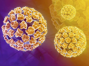 HPV: A importância de se vacinar