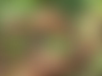 Animais com super-poderes