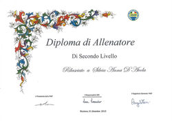 FISR Roller & Inline Skating Coaching Certification 2015