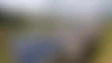 USED SOLAR PANEL【Trina Solar 260w| 32000pcs】 Solar Panel | 太陽光パネル買取・入荷情報 | 株式会社ワァースのコピー