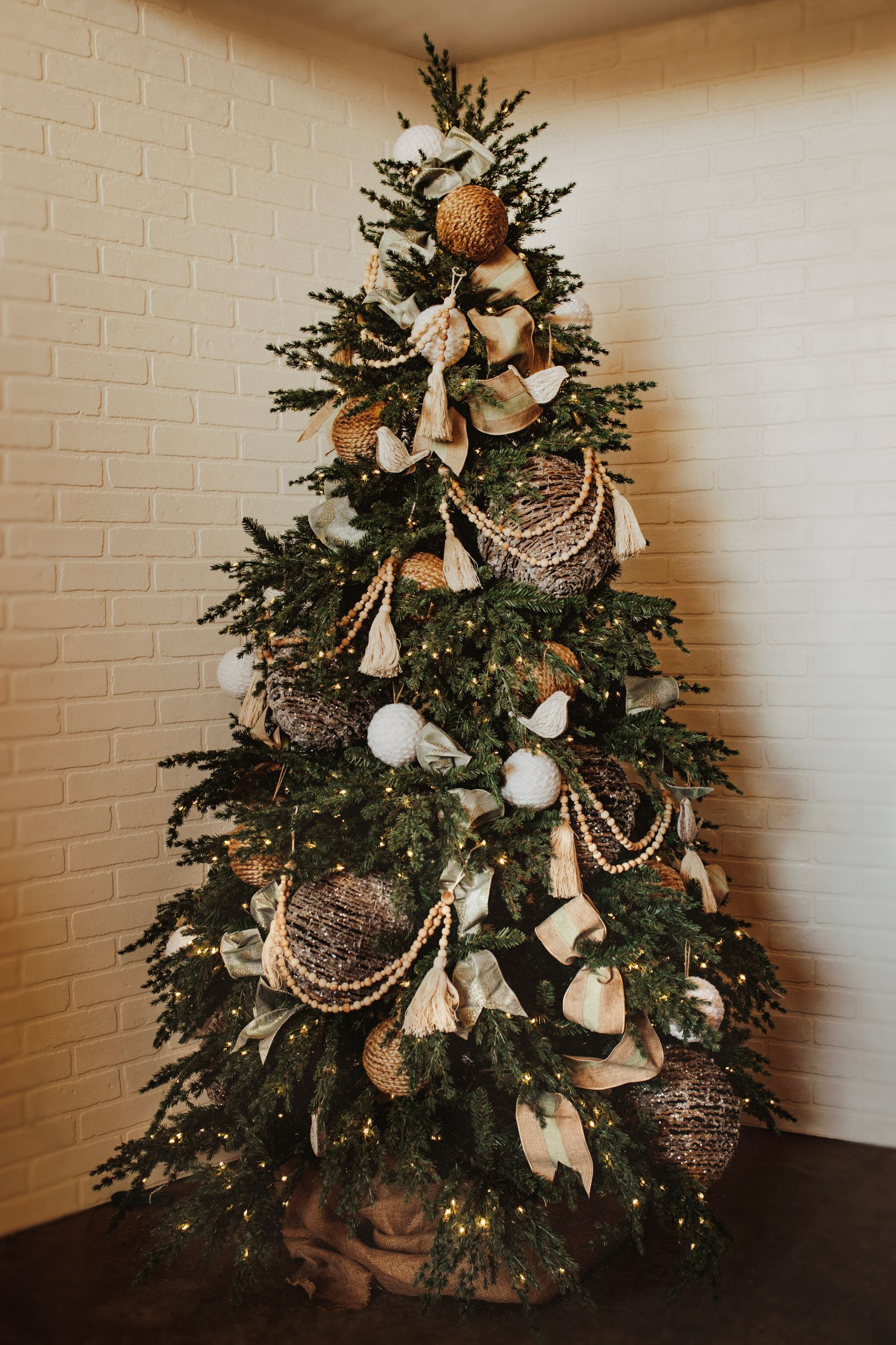 Fairy Kit The Silent Night 