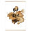 Miniatura: But frist coffee - Art Print mit Leisten