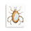 Thumbnail: Tick Matte Poster-Square and Vertical Compositions 10x10, 12x12, 16x16, 11x14 in