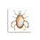 Thumbnail: Tick - Watercolor Bug Canvas Print 12x12, 16x16, 16x20 inches